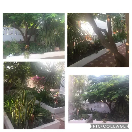 Ferienhaus Heavens Garden House